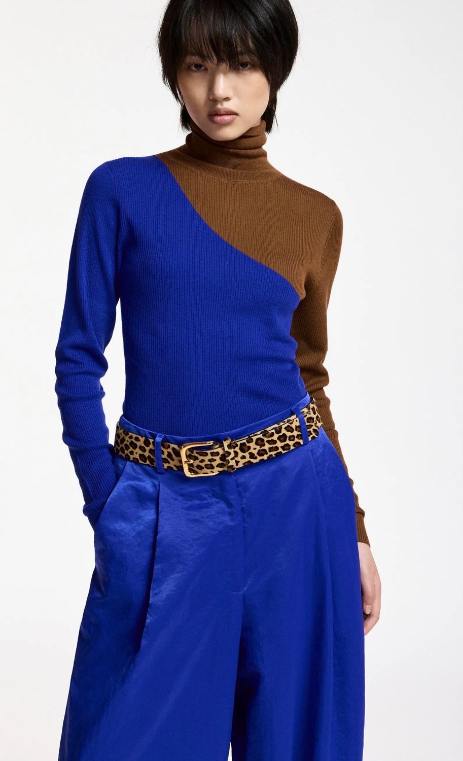 Pull Essentiel à col roulé brun et bleu