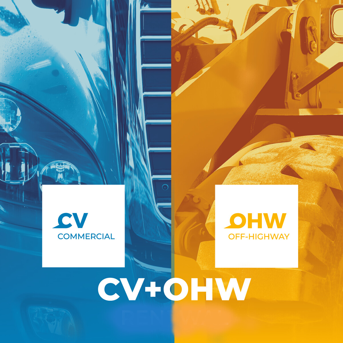 CV+OHW Diagnostic Package