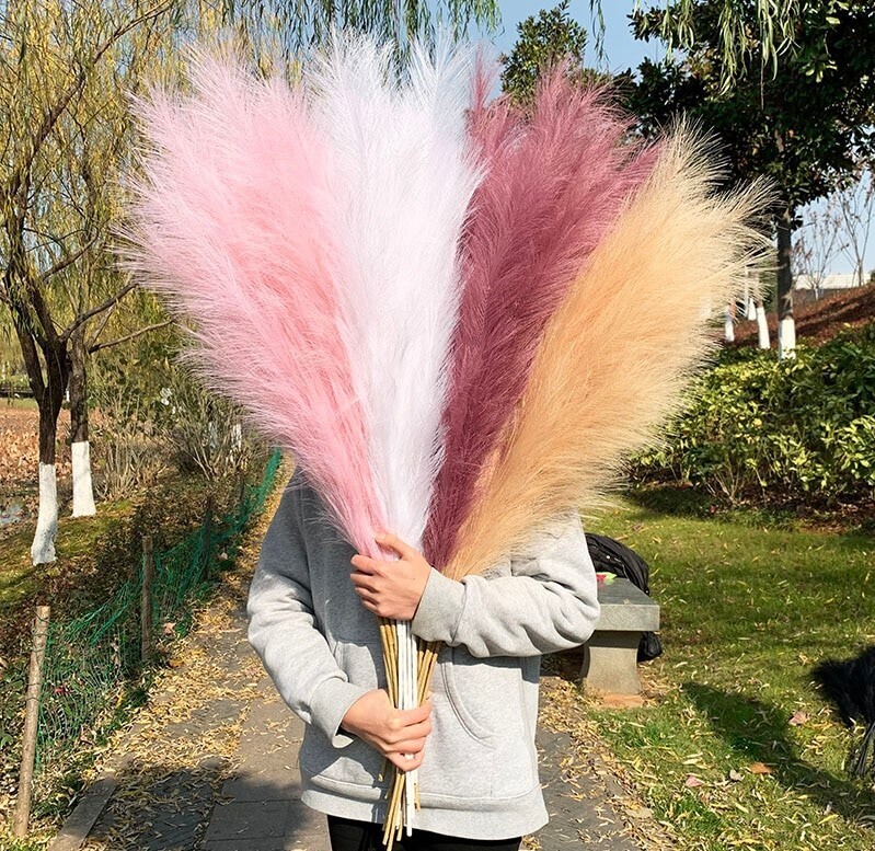 Pampasgras künstlich in rosa, weiß &amp; weinrot