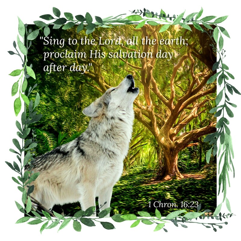 Howling Wolf, w/Scripture (Unisex T-Shirt)