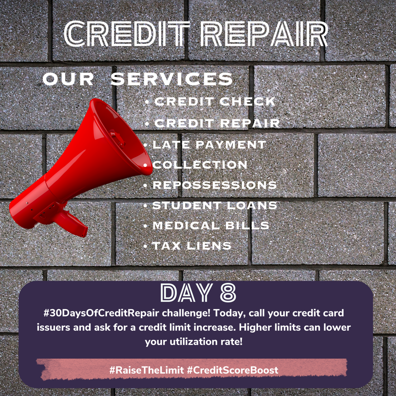 Credit Repair Service