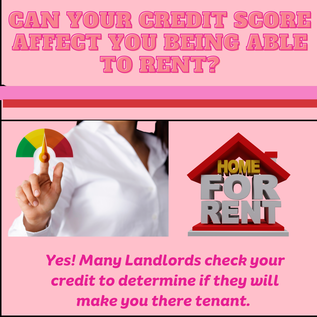 Credit infographics