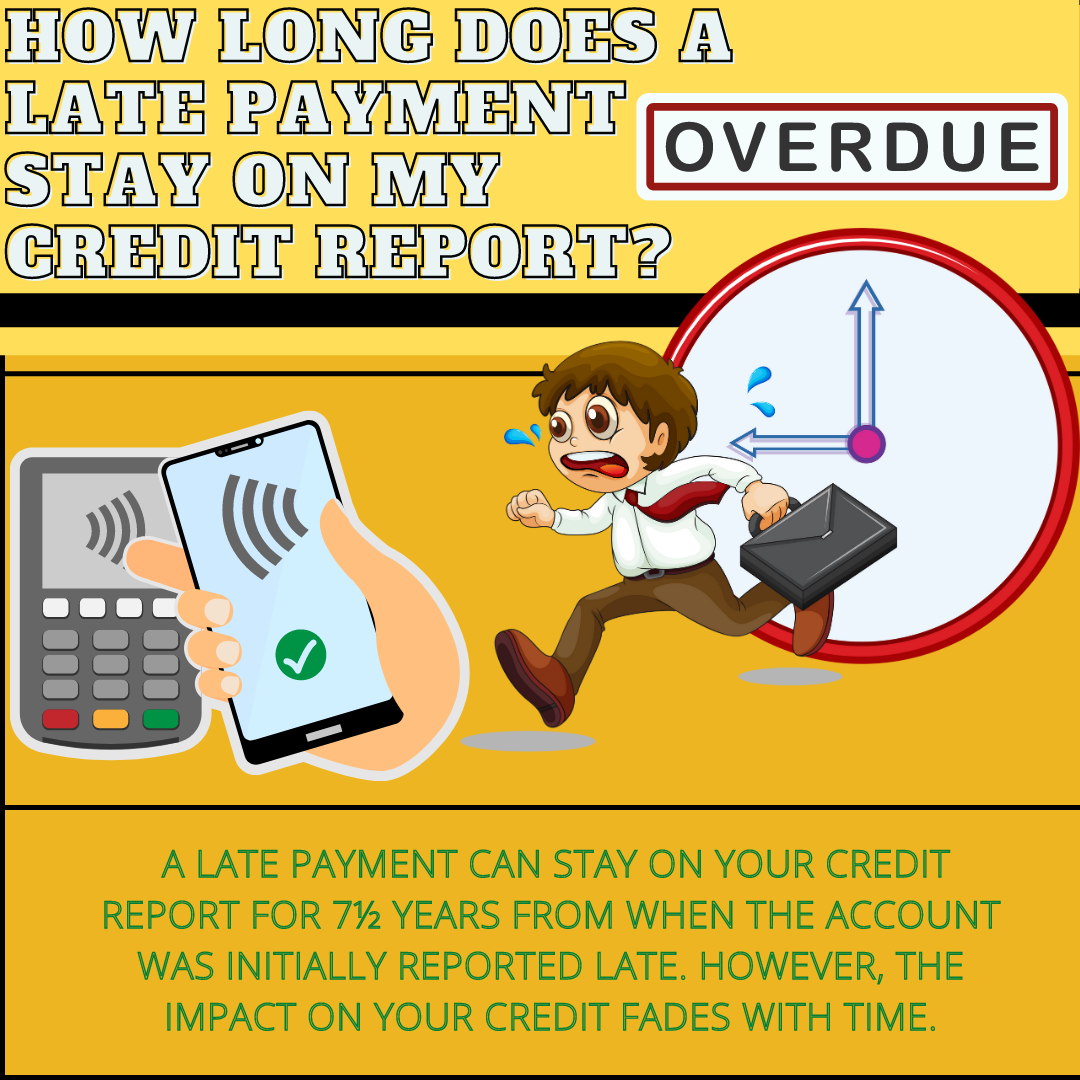 Credit infographics
