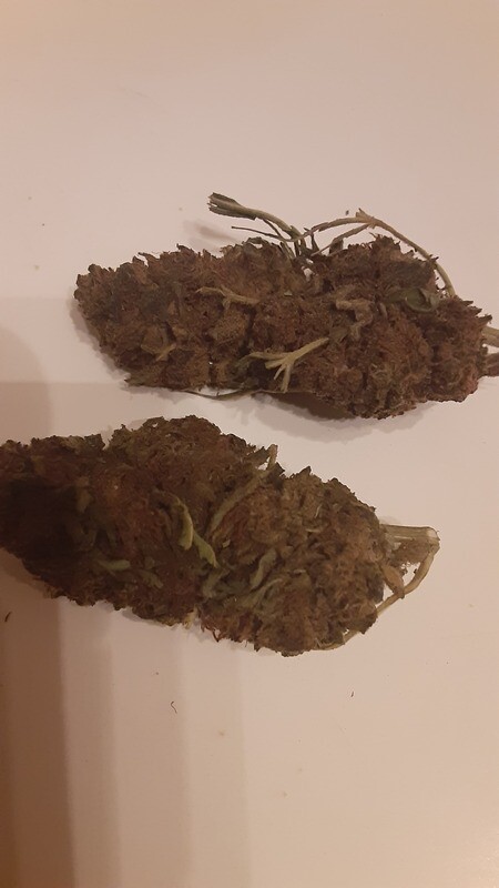 CBD GRAND DADDY PURPLE BUD  10gram