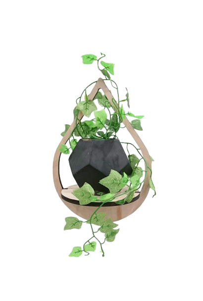 Indoor Plant Hangers