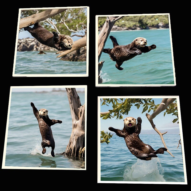 Otterly Adorable Coaster Set