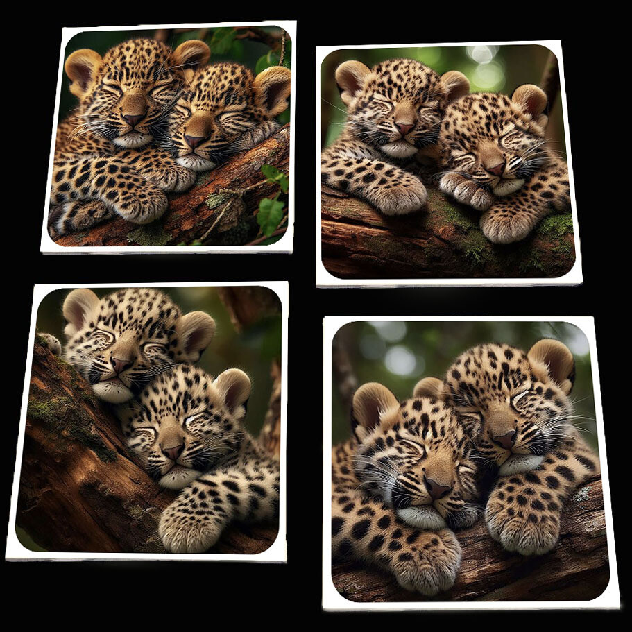 Leopard Lullabies Coaster Set
