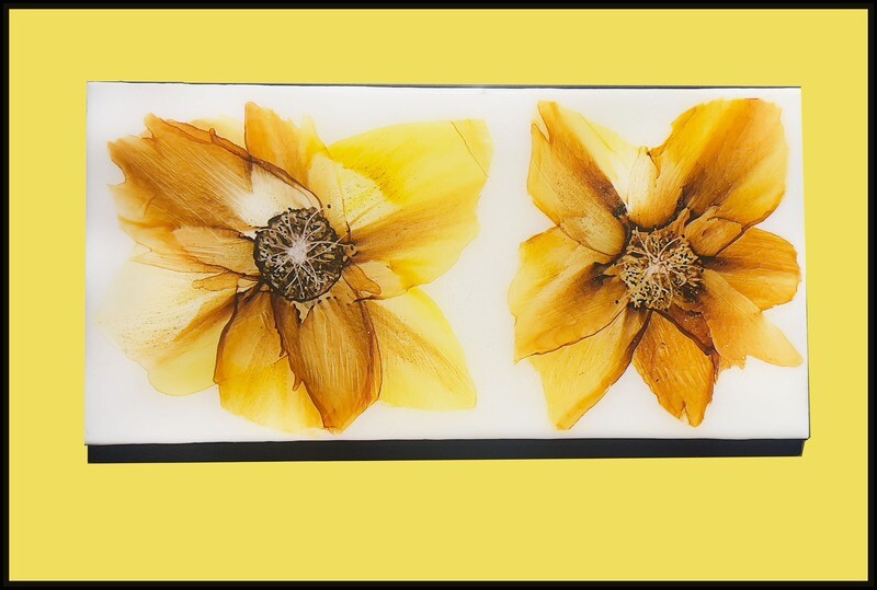 &quot;Double Trouble Bloom&quot;