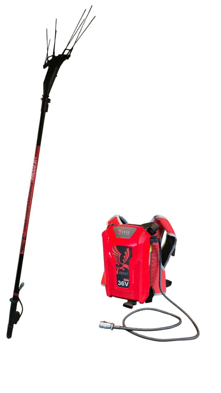 Abbacchiatore Falco 36v