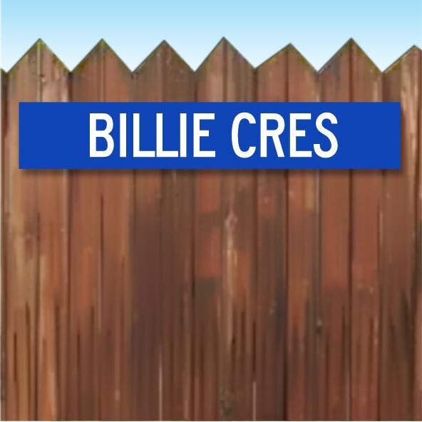 Personalised Street Signs, Colour: Blue with White Text