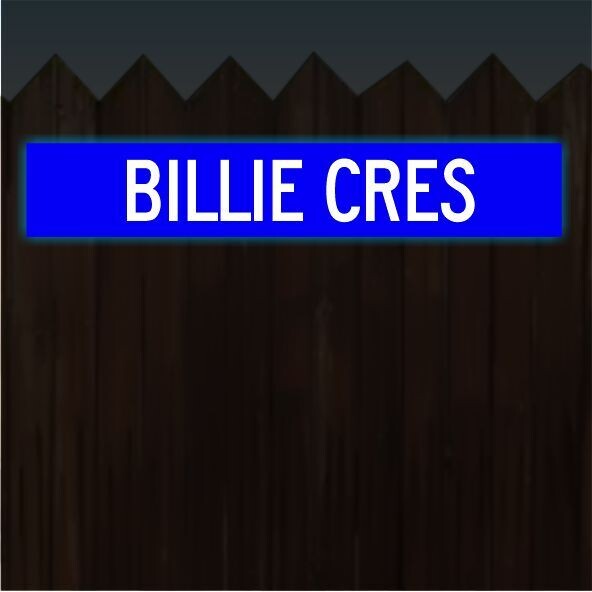 Personalised Street Signs Reflective, Colour: Blue with White Text