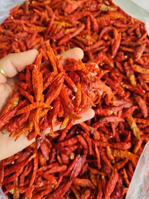 ဝလုံးလေး တောင်ပေါ် ချင်း ငရုတ် (50g)