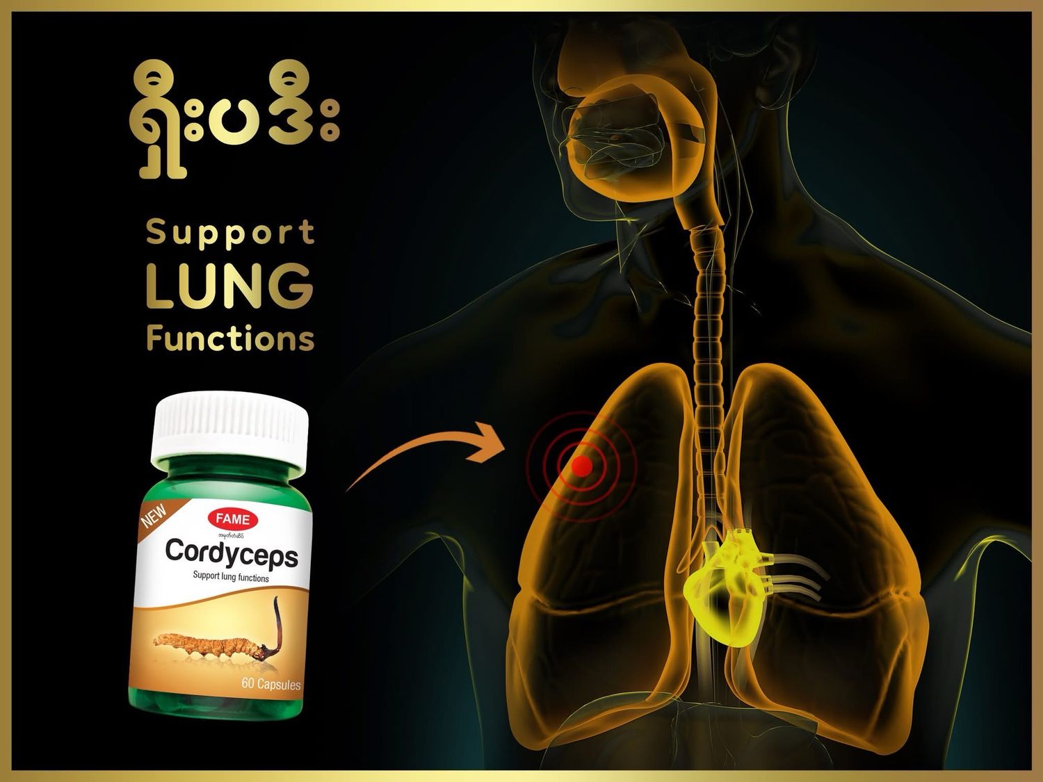 Fame Cordyceps Lung Support