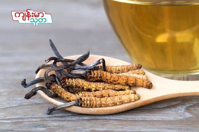 Fame Cordyceps Lung Support