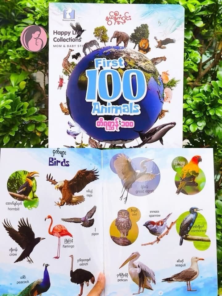 နွယ်နီကံဝင်း 100 Animals