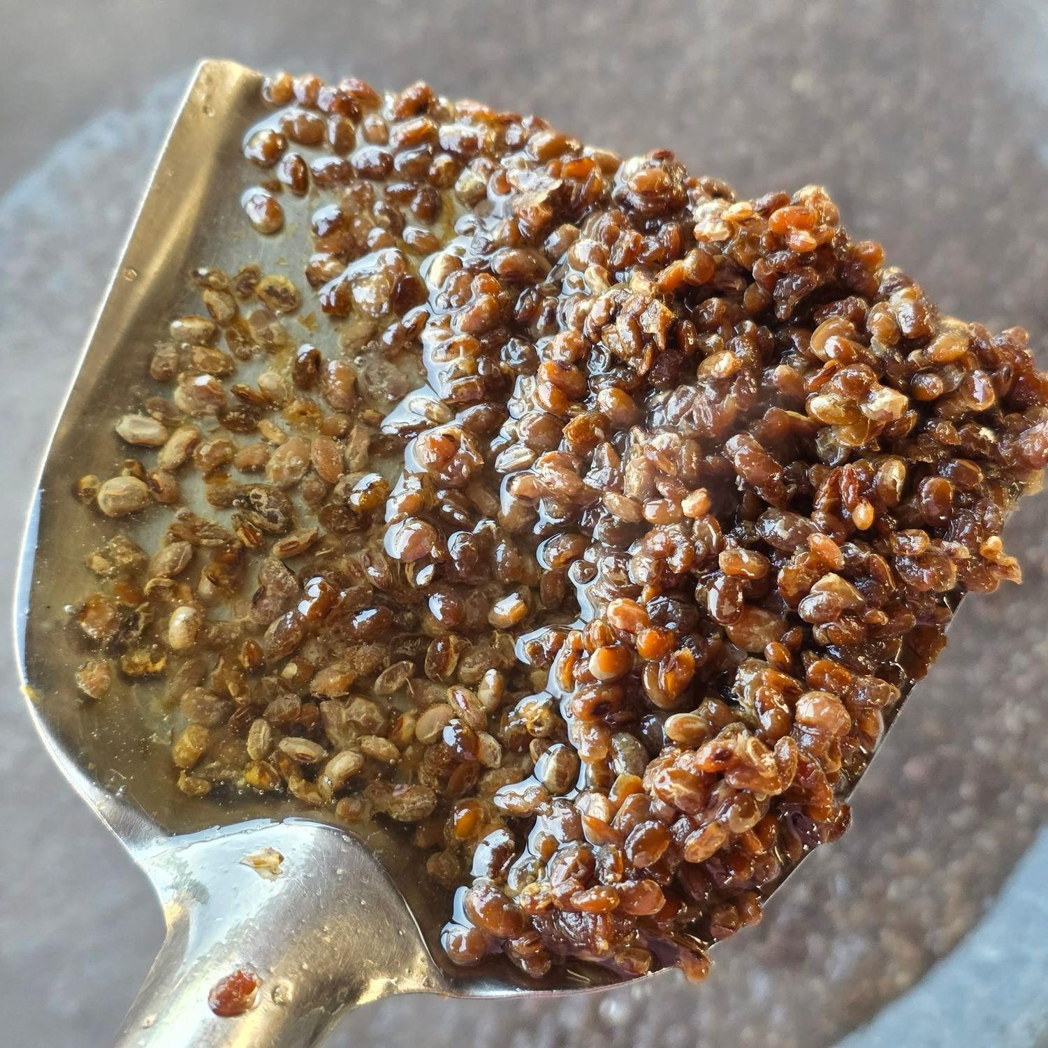 ပန်းခရေ ရှမ်း ပဲပုပ်စေ့ အကြွပ်ကြော် (160g)