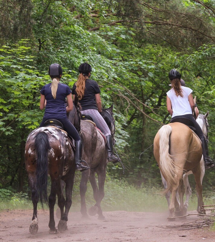 Sunday 1 hour Lake Horseback Ride with Wine &amp; Dine Option