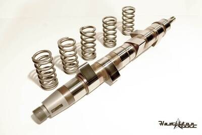 PUMP CAM SPRINGS - Hamilton 07-PC-002