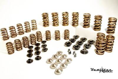 24valve competition roller springs-07-s-009HD24vs-XR