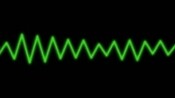 Sensor Wire Harnesses