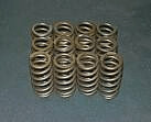 Valve Springs