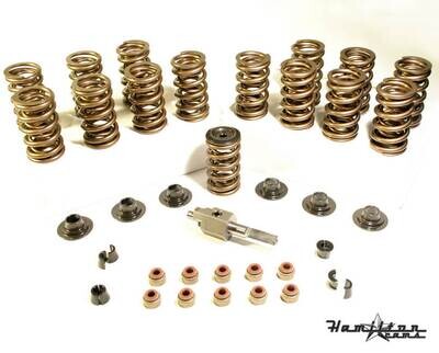 185# Dual Springs-07-s-002