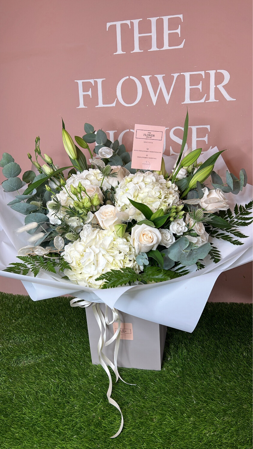 FH Sympathy 🤍🕊️