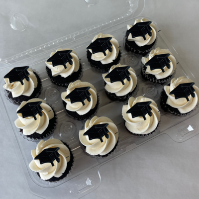 Custom Colored MINI Grad OMG! Cupcakes (12 pack)