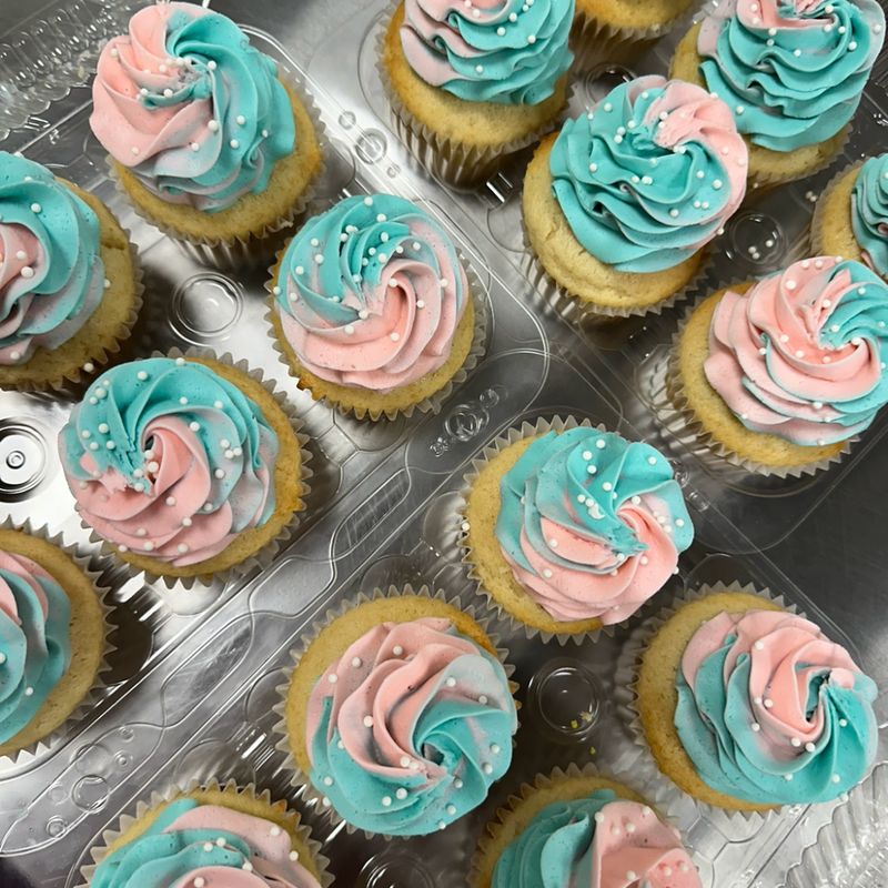Gender Reveal 6 Pack Cupcakes