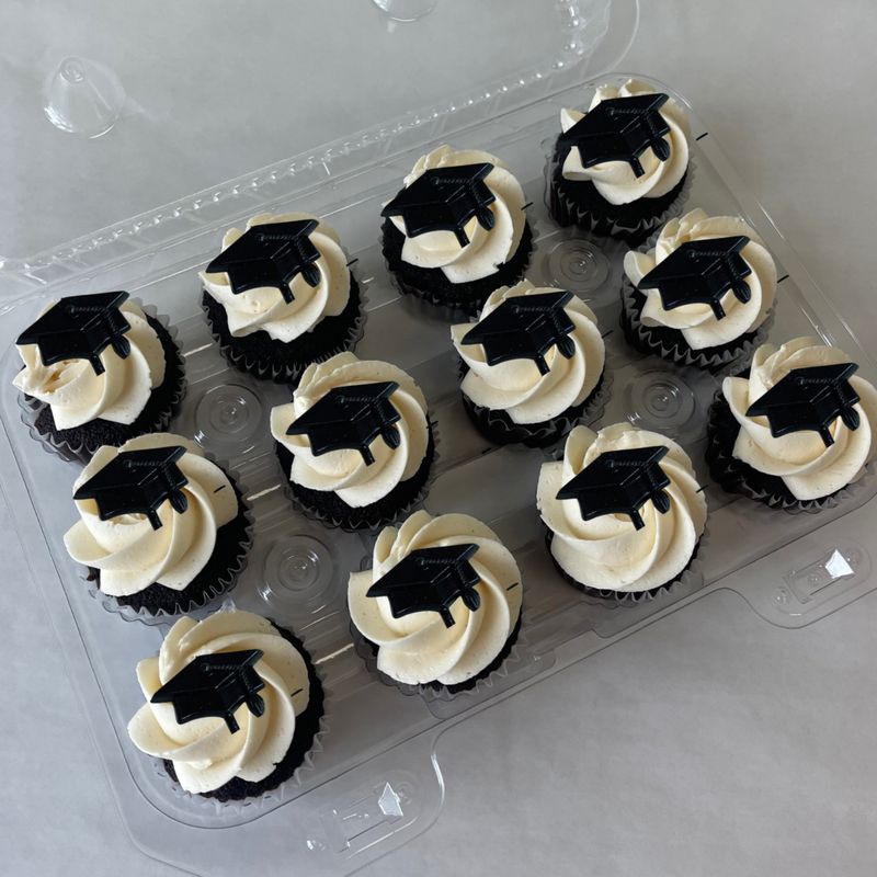 Grad - Custom Colored MINI Grad OMG! Cupcakes (12 pack)