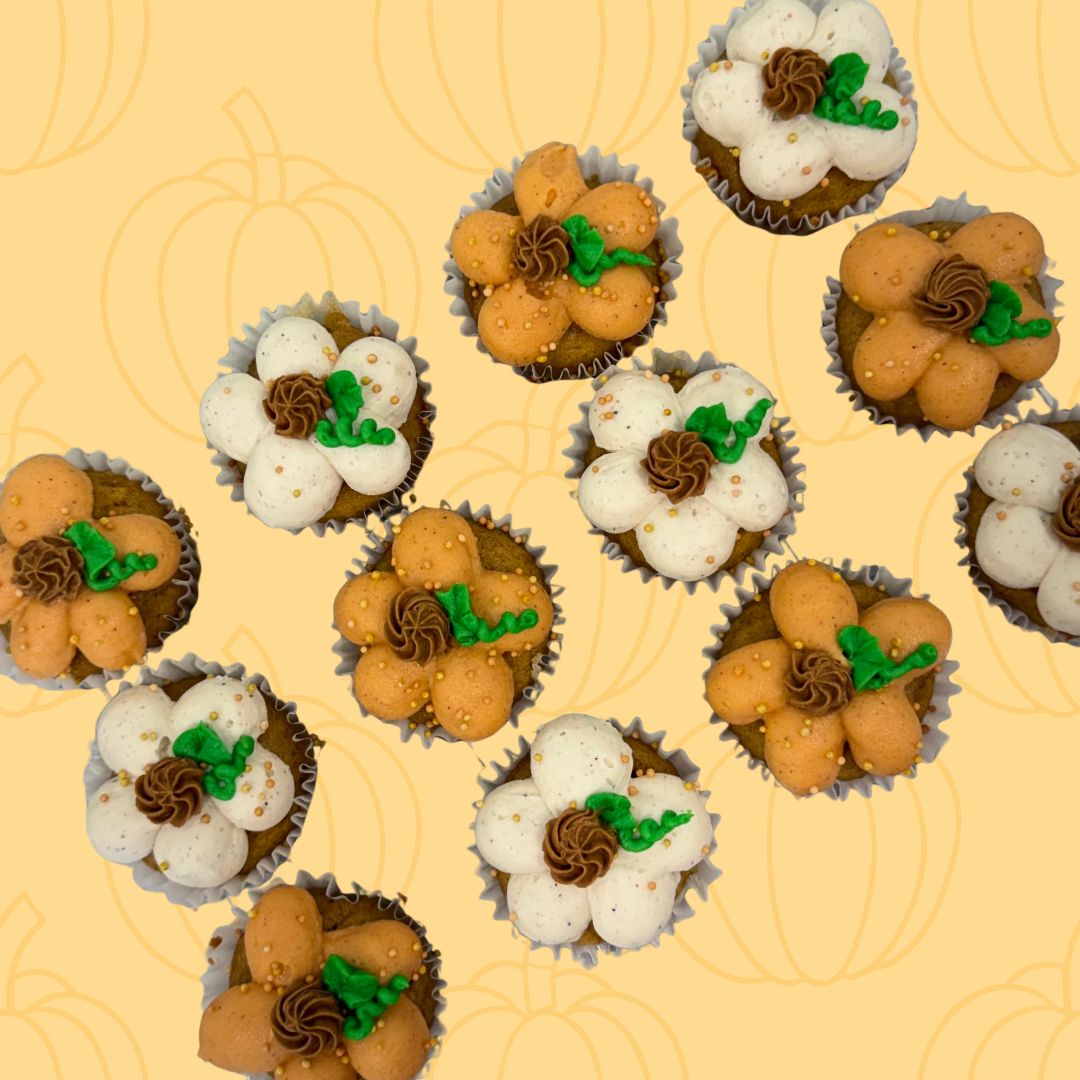 12 Pack Mini Pumpkin Cupcake Pack 12 Pack Mini Pumpkin Cupcake Pack