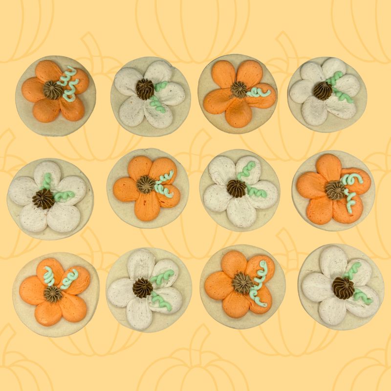 Thanksgiving Sugar Cookie Box *Available for preorder Oct 1 -11*