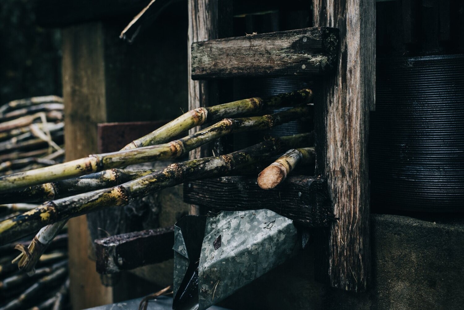 Pure Cane Syrup