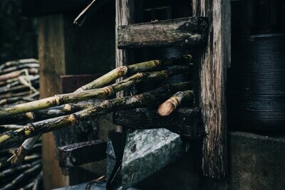 Pure Cane Syrup