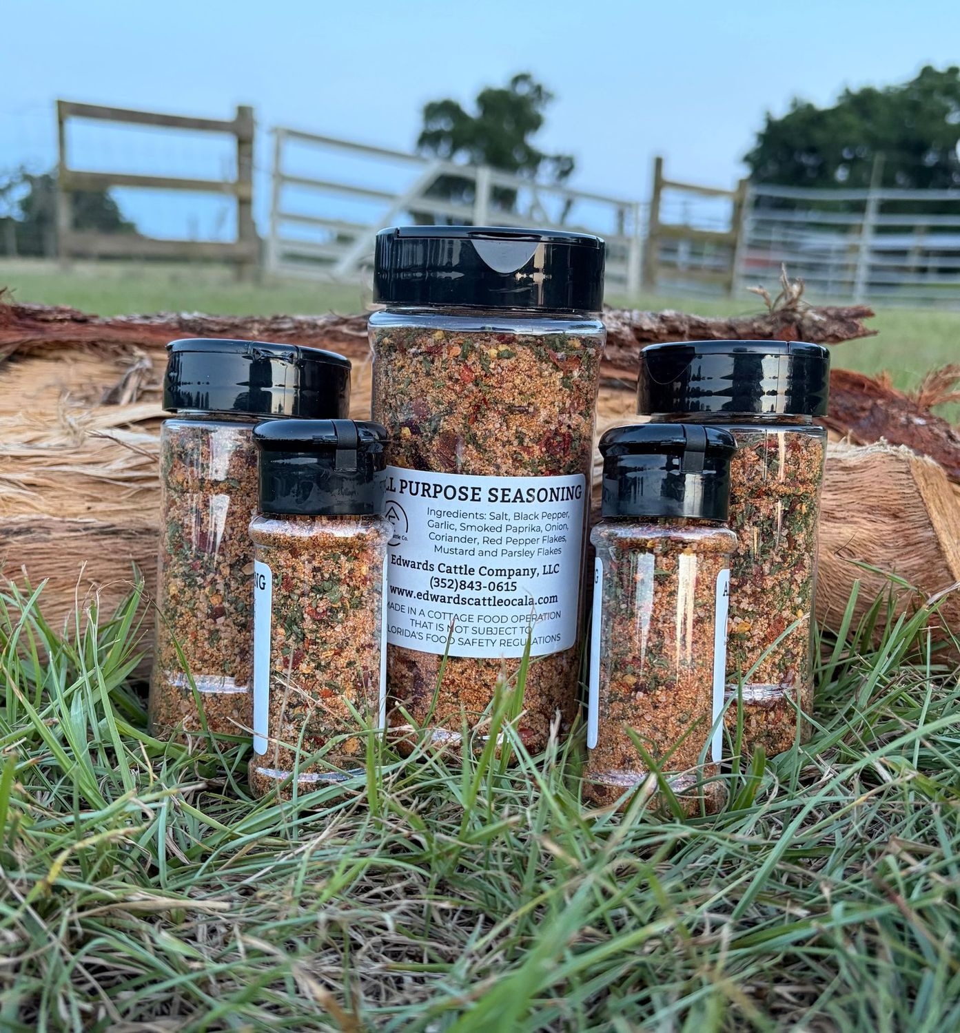 All Purpose Seasoning