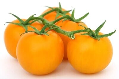 Tomato Golden Sunrise approx. 30 seeds