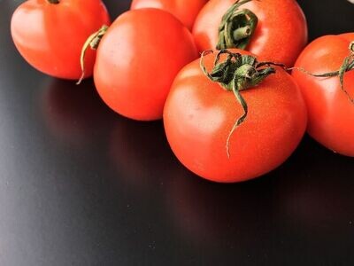 Tomato Moneymaker approx, x30 seeds