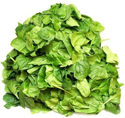 Spinach Medania x150 seeds