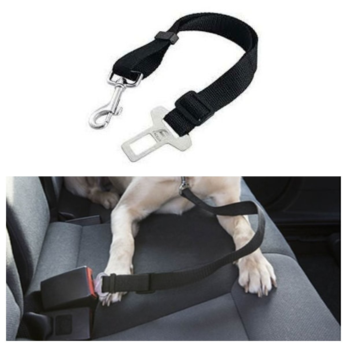 Adaptateur ceinture sécurité pour chien