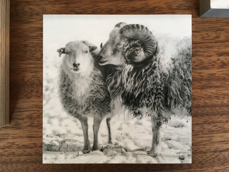 Peppi und Klara - Fotoabzug auf Holz