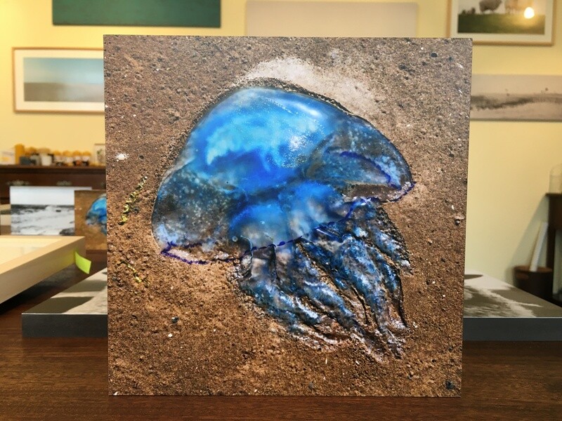 Blaue Qualle- Fotoabzug auf Holz