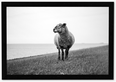 Fotos im Schattenfugenrahmen