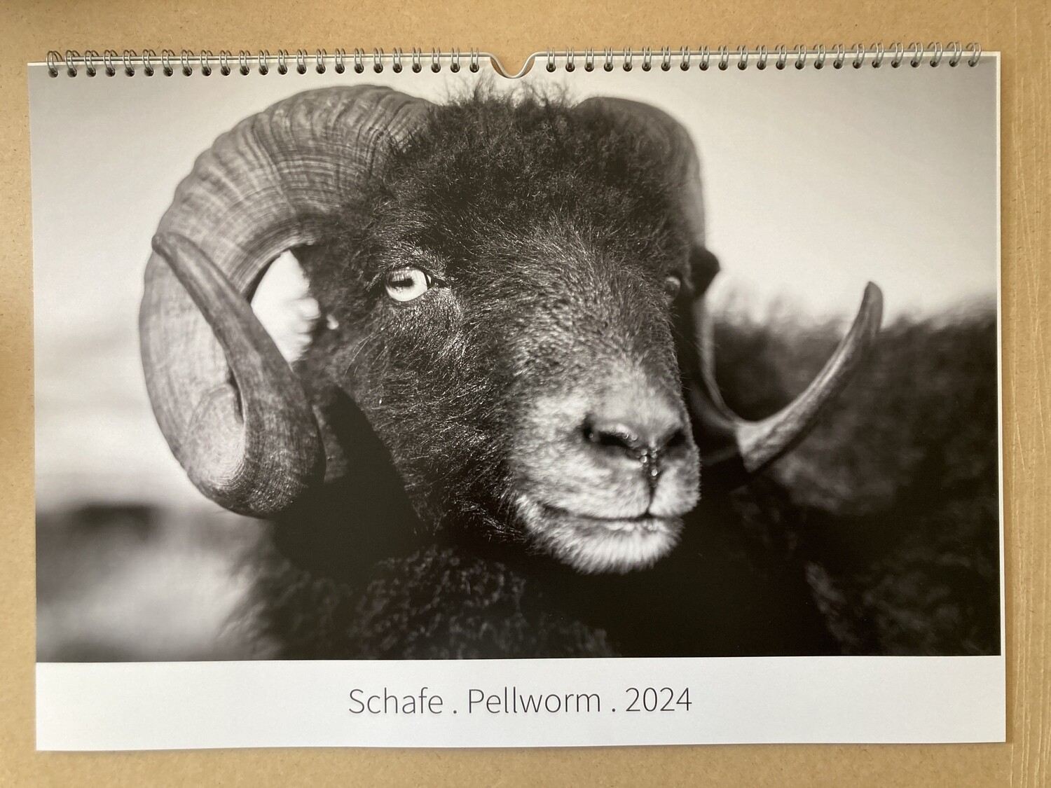 inselnatur Kalender Schafe 2024