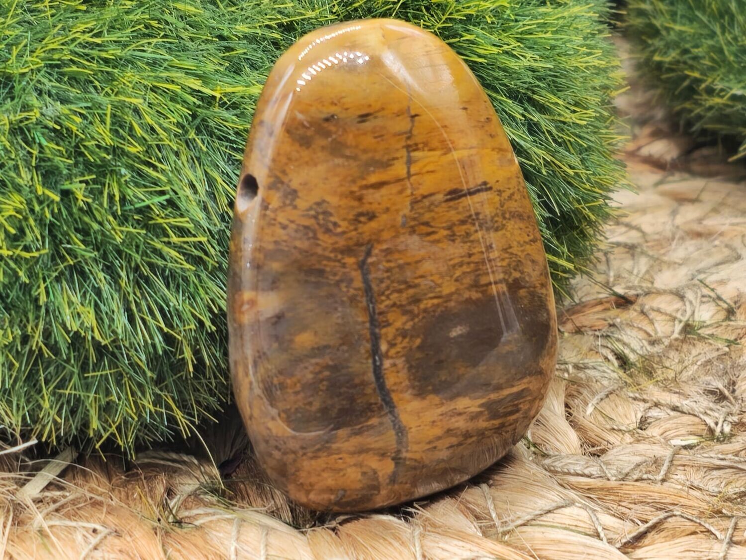 Versteinertes Holz Trommelstein gebohrt
