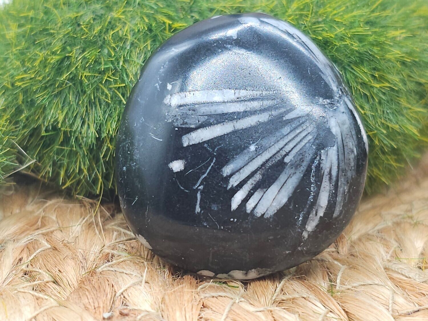 Chrysanthemen Trommelstein gebohrt