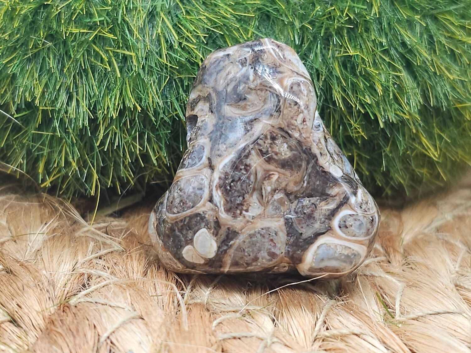 Turitella Achat Trommelstein gebohrt