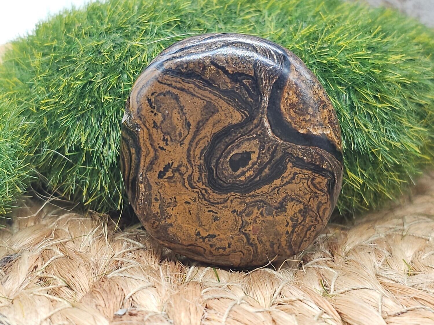 Stromatolith Scheibenstein gebohrt