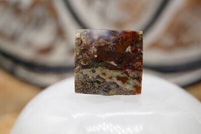 Moosachat aus Indien Moosachat aus Indien