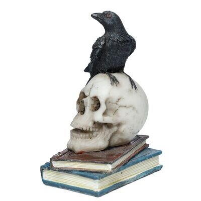 Krähe stehend auf Totenkopf und Büchern