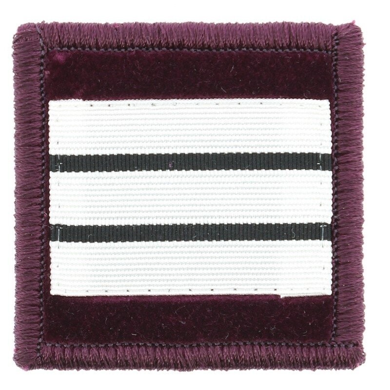 Grade capitaine vétérinaire pompier